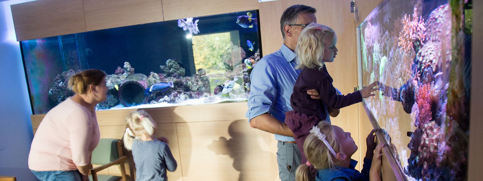 Die Unterwasserwelt ganz groß - im Aquarium in Wasserbillig