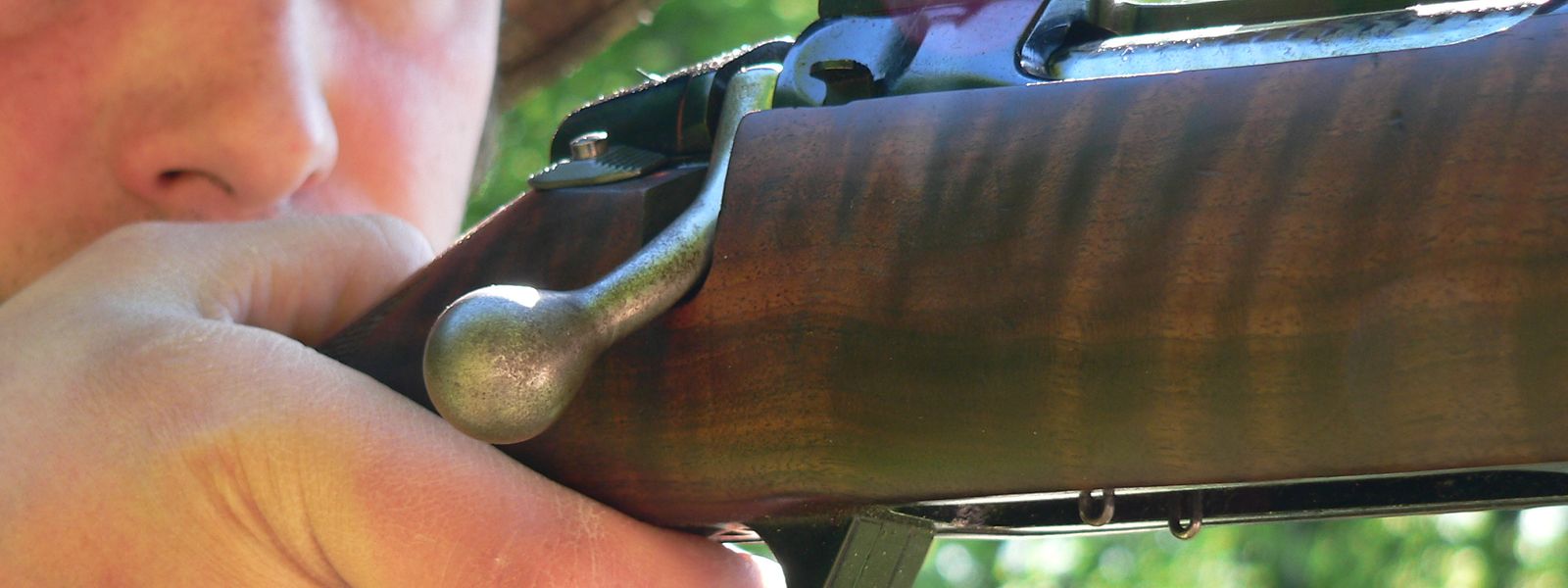 Am Freitag findet im Parlament eine öffentliche Anhörung zum Thema Treibjagd statt.