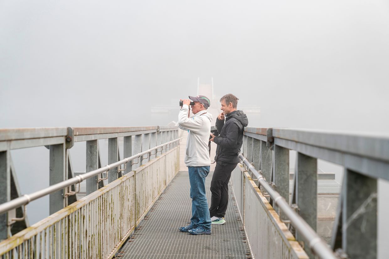 Guy Bertemes, Natation, 6h, Lultzhausen, 26.05.2024, Photo : Caroline Martin ©