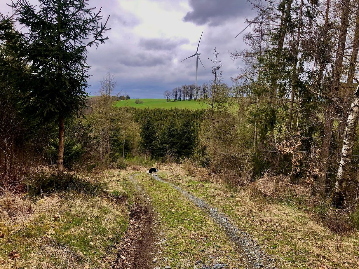 mywort Von Derenbach nach Brachtenbach