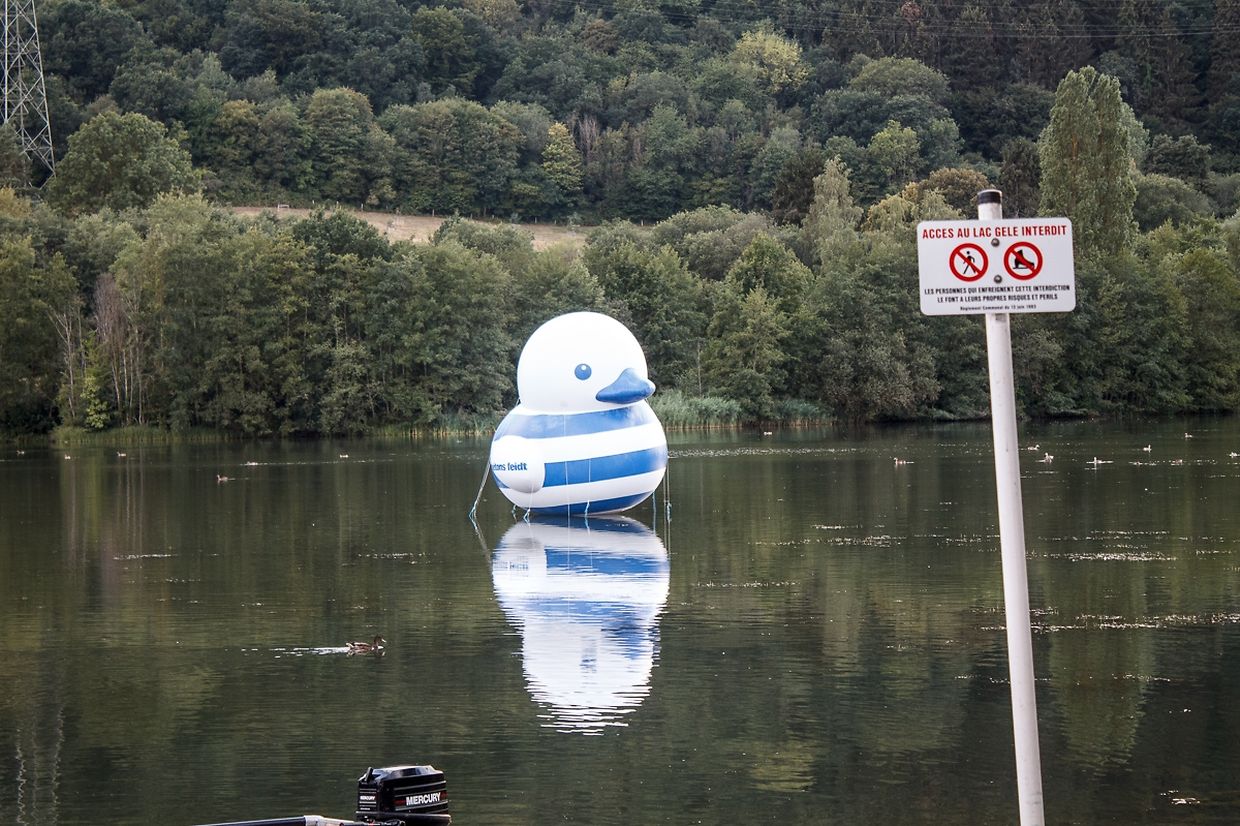 e-lake, Echternach 2018
