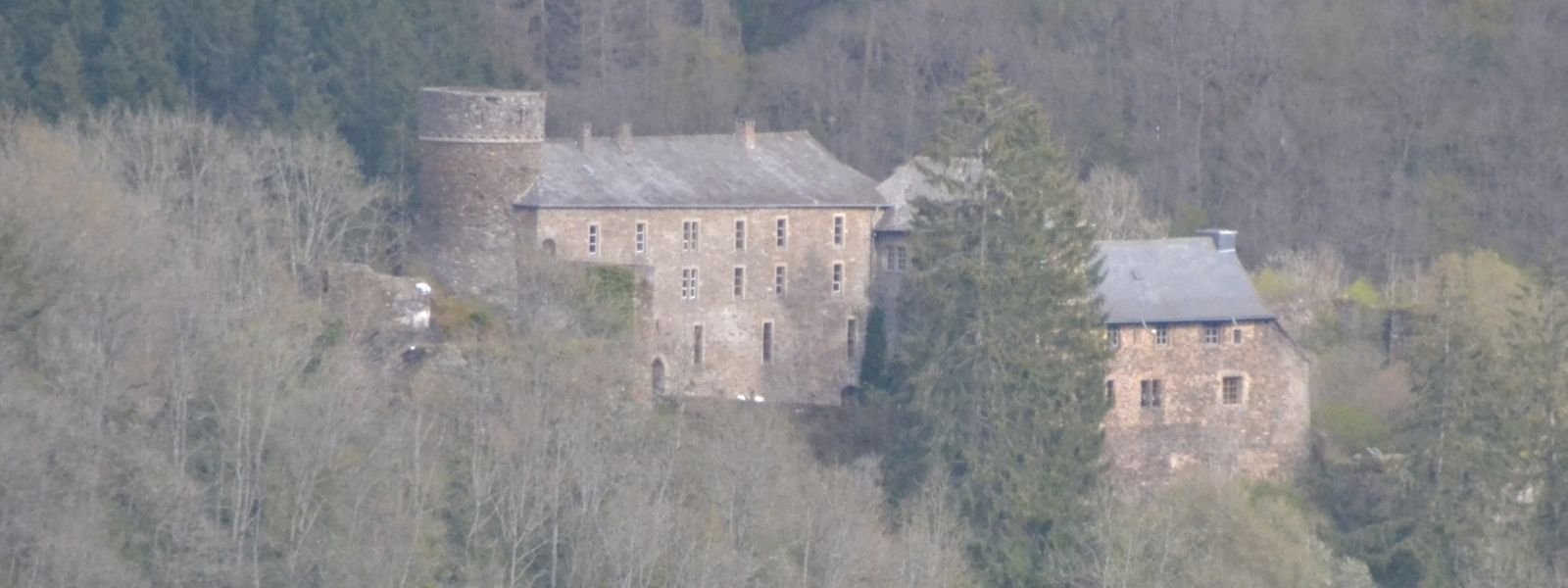 Von der gegenüberliegenden Talseite hat man den besten Blick auf die Burg.