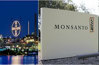 Bayer darf den US-Saatgutproduzenten Monsanto übernehmen - unter Auflagen. 