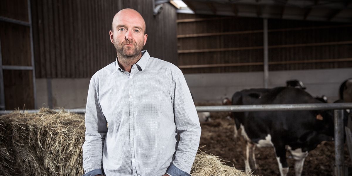 „Mit der Milch allein reicht es nicht“, so Bauer Laurent Raus, der in die Hähnchenmästerei einsteigen wollte.