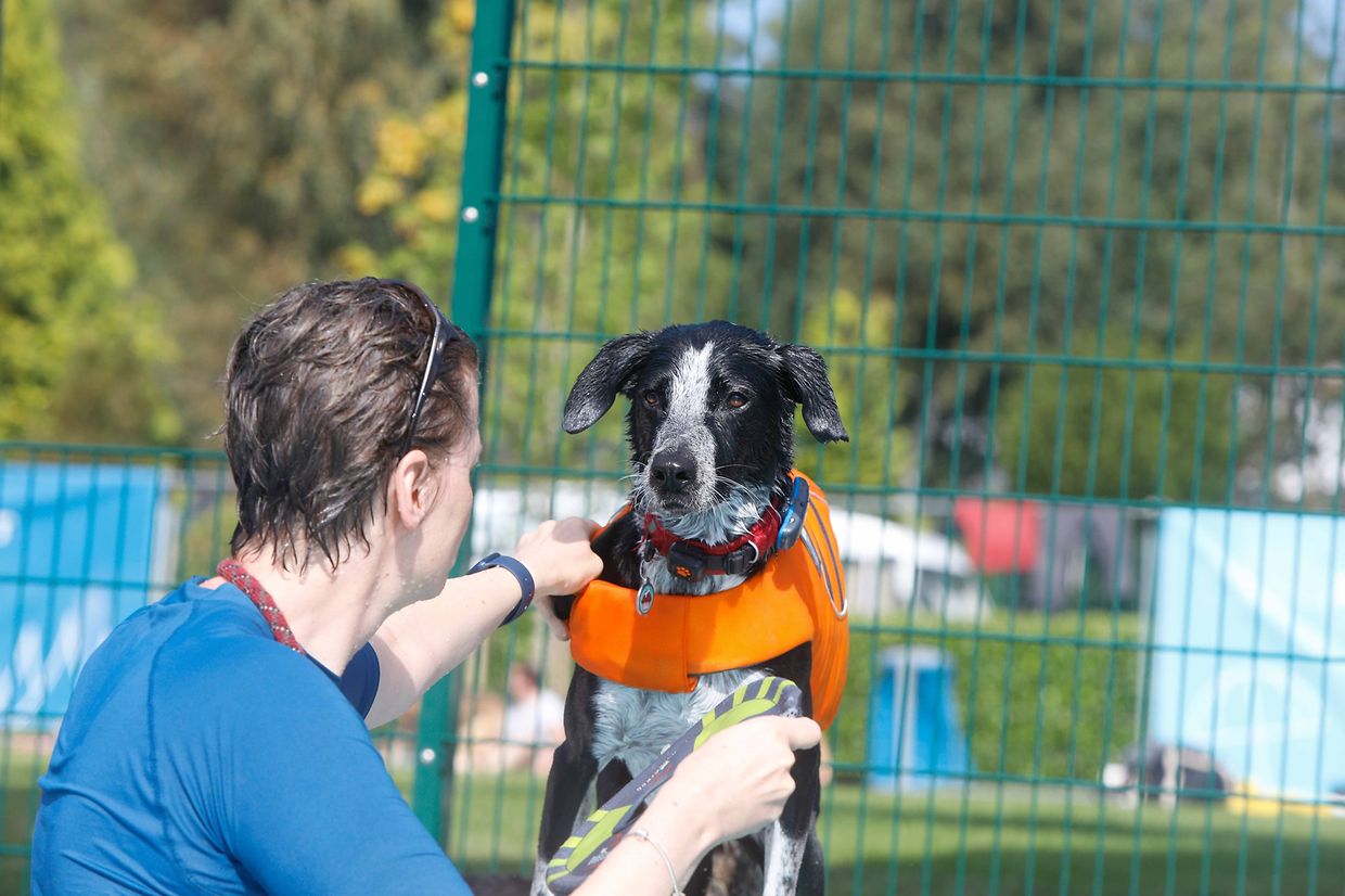 Lokales, Aqua Park, Schwimmbad, Hundeschwimmen, Badespass Foto: Luxemburger Wort/Anouk Antony