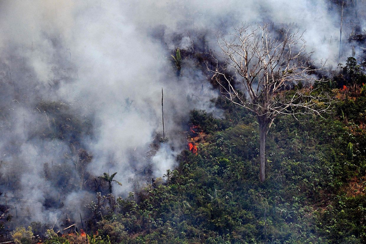 Große Flächen des brasilianischen Regenwaldes brannten diesen Sommer. Hier zu sehen sind Luftaufnahmen vom 23. August, aufgenommen rund 65 Kilometer von Porto Velho entfernt.
