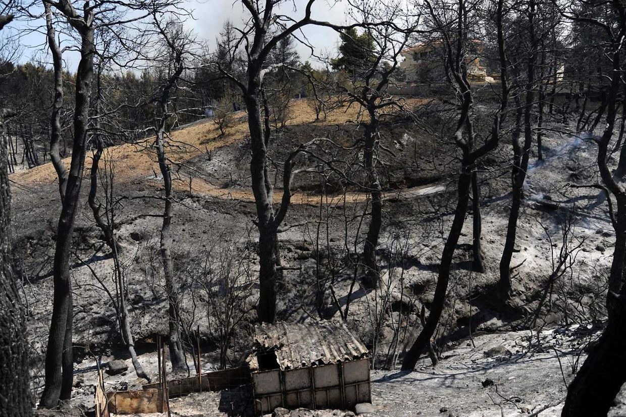 Wütender Waldbrand: Tausende Menschen mussten ihre Häuser im Ferienort Kalamos evakuieren.