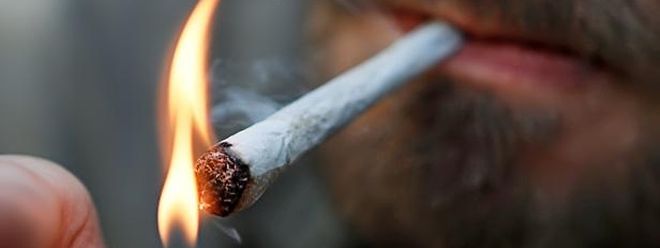 Le Papa Dissimulait Du Cannabis Dans Le Sac A Langer Du Bebe