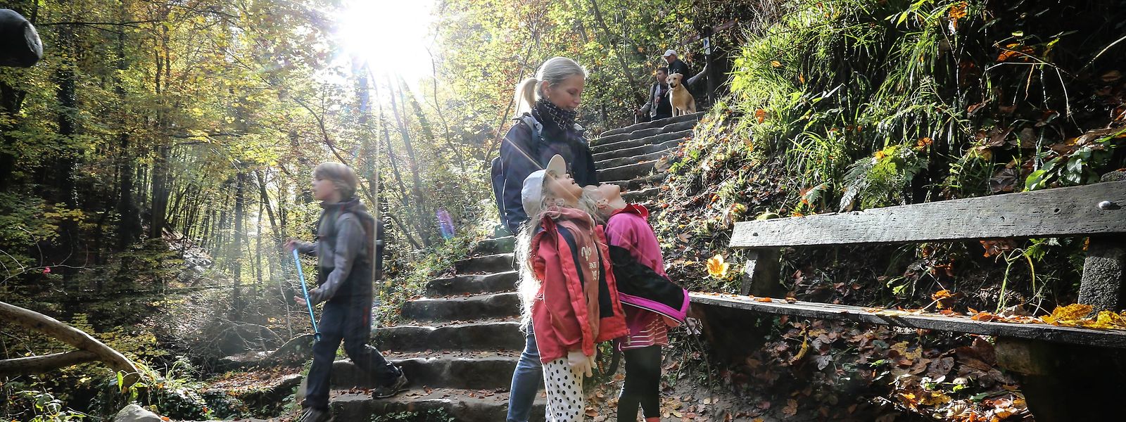 Das Mullerthal lockt im Vergleich zu anderen Teilen Luxemburgs weniger Touristen an.