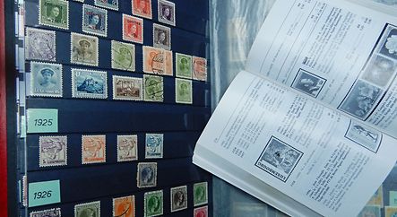 Meng Timberesammlung