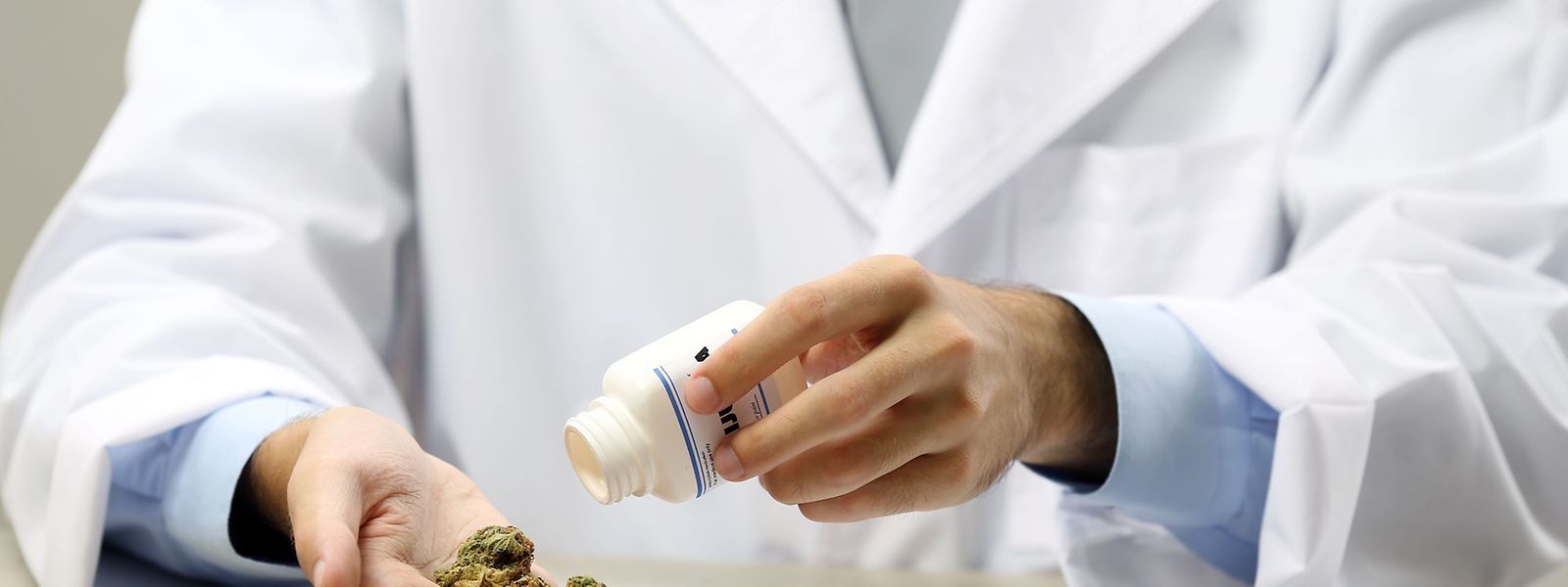 In vielen Ländern gilt Cannabis heute als anerkanntes Heilmittel.