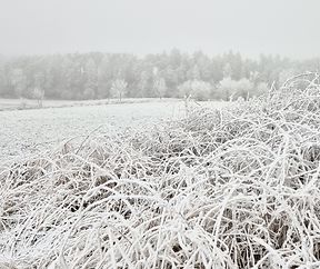 eiskalt