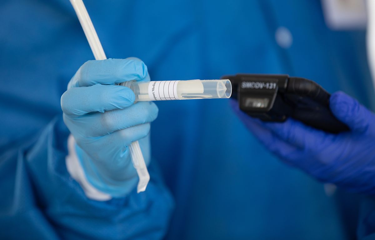 A medical staffer holding a coronavirus testing kit Photo: Guy Wolff