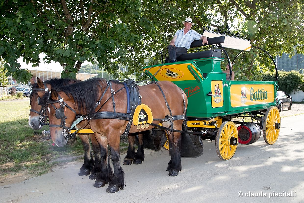 Schmit HAPPENS -  Let's Hopp! - centre sportif Oberkorn - Differdange - 14.06.2017 © claude piscitelli