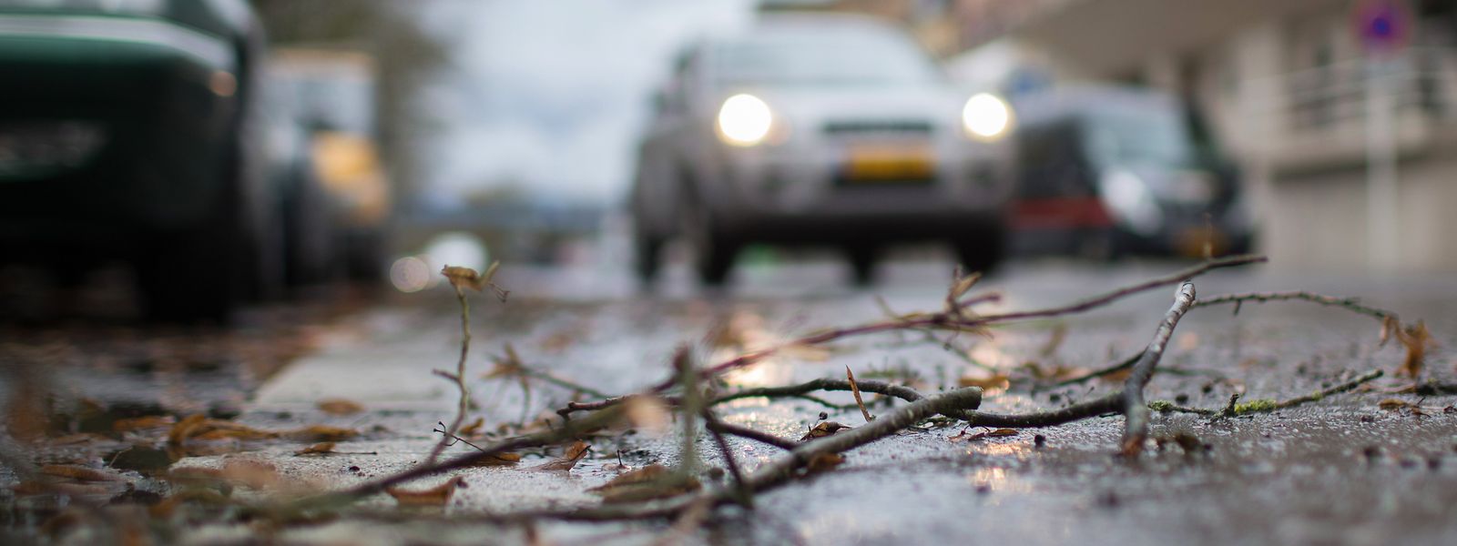 Am Donnerstag werden bis zu 75 km/h gemeldet.