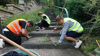 Lokales, Gemeinde Lintgen, Studentenjob, Foto: Luxemburger Wort/Anouk Antony