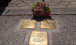 Stolpersteine vor einem Haus in der Rue Ermesinde. Hier wohnten das aus Deutschland geflüchtete Ehepaar Mayer und die Hoteliersfamilie Levy. Sie alle kamen in einem Konzentrationslager und einem Ghetto ums Leben. 