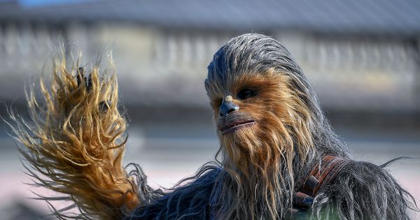 Companheiros e amigos por mais de 30 anos', diz Harrison Ford sobre Peter  Mayhew