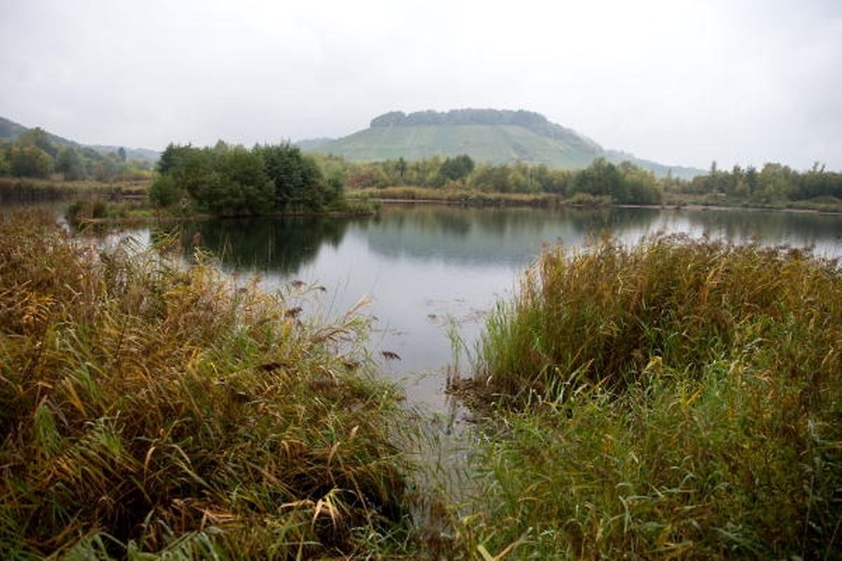 13 Tage mit Niederschlägen und zehn Nebeltage wurden im September gemessen.