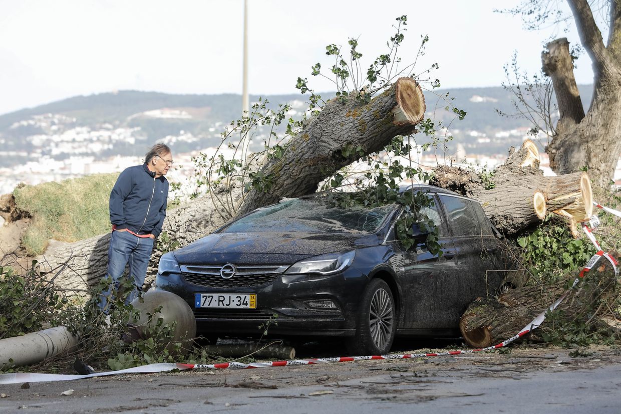O vento conseguiu arrancar árvores que, por sua vez, danificaram viaturas na via pública, na Figueira da Foz.