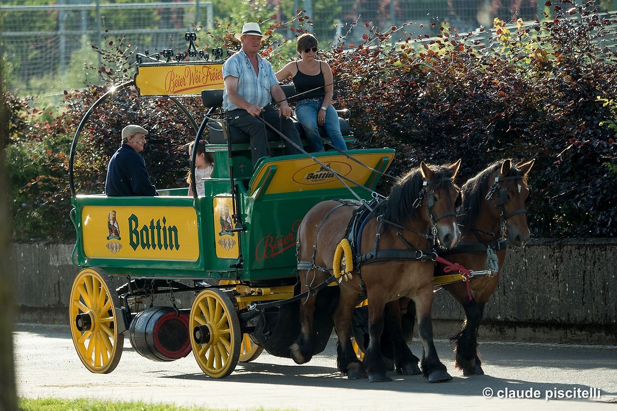 Schmit HAPPENS -  Let's Hopp! - centre sportif Oberkorn - Differdange - 14.06.2017 © claude piscitelli