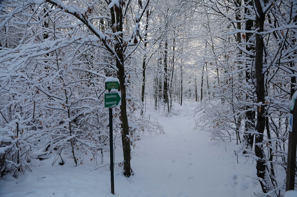 Illustration, Schnee, Winter, Winterlandschaft, Foto: Anouk Antony/Luxemburger Wort