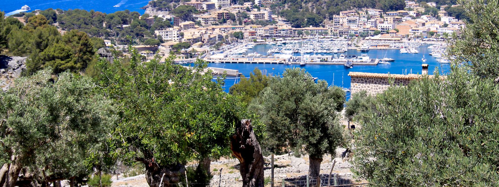 Das Hinterland auf Mallorca: Vom Familien-Hotel Muleta de Ca S'Hereu hat man wunderschöne Panormablicke auf Olivenhaine und den Hafen Port. 