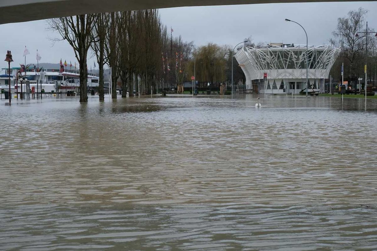 Diese Bilder stammen von Samstag gegen 12.30 Uhr .