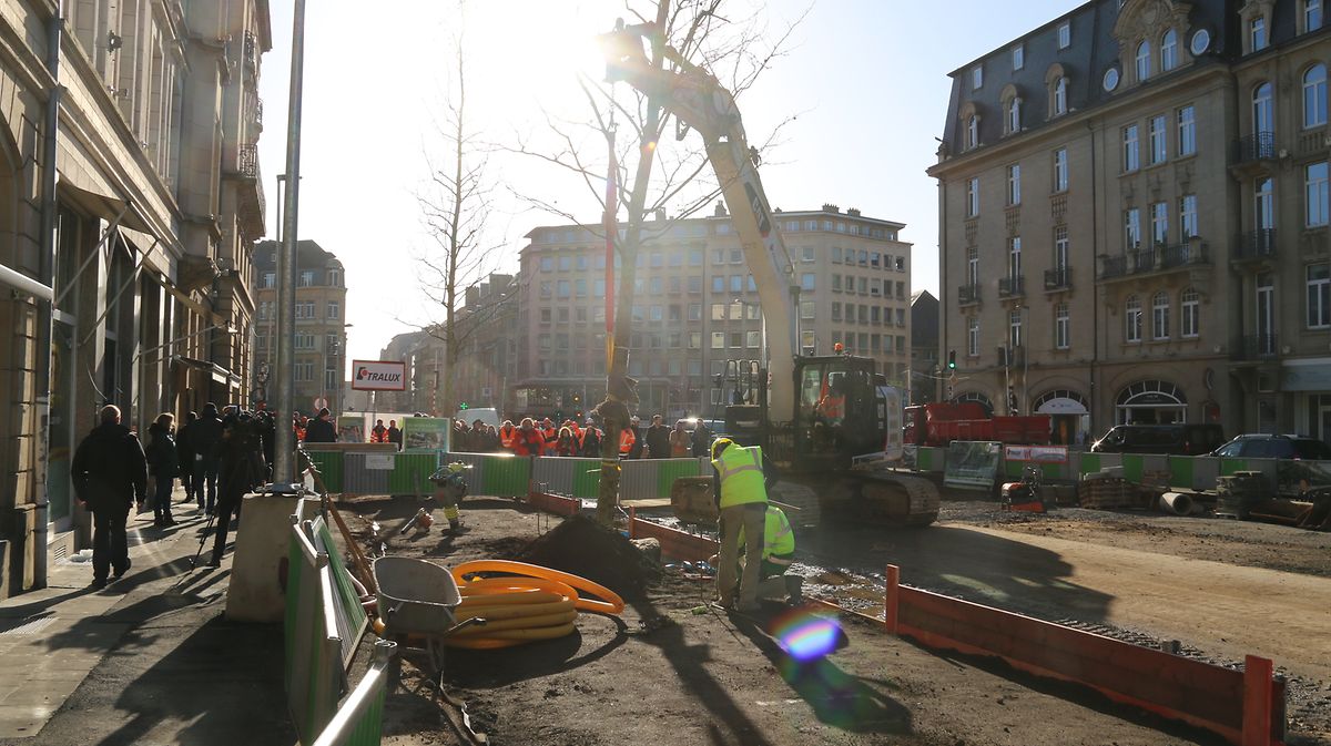 Pro Tag werden zwei Bäume eingepflanzt.