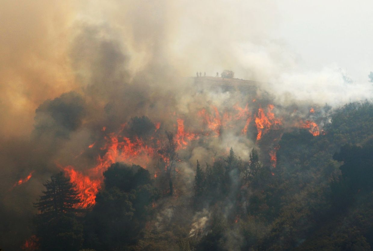 Les pompiers observent les flammes sur le Canyon William lors du feu de Soberanes, en Californie, le 29 juillet 2016. 