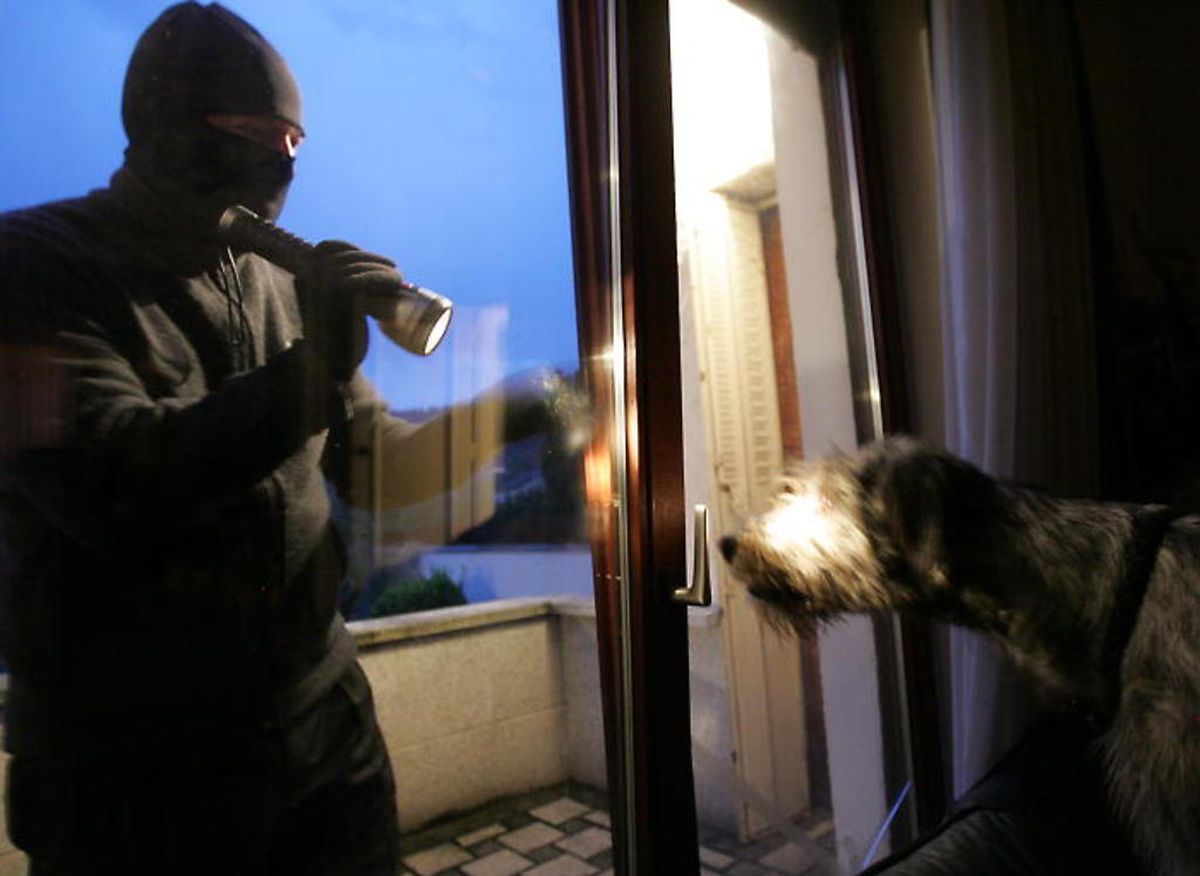 Entre le 1er octobre et le 2 novembre 2014, pas moins de 436 cambriolages ou tentatives ont été enregistrés par la Police.
