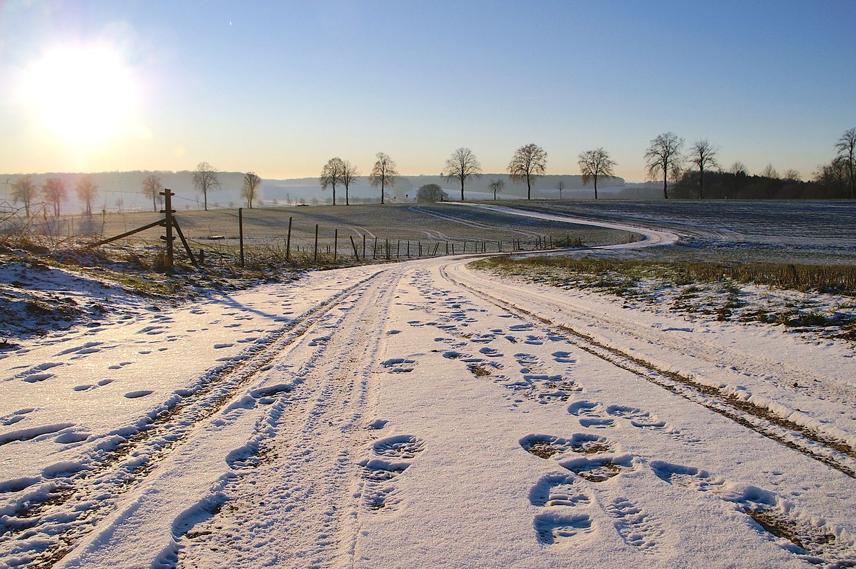 KONICA MINOLTA DIGITAL CAMERA