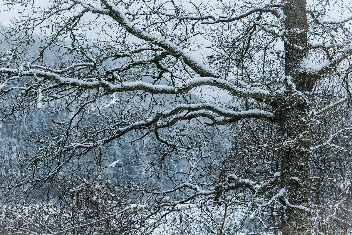 Rullingen und Büderscheid am Morgen bei Minus drei Grad und vier bis sechs Zentimeter Schnee. 
