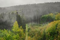 Der Gréngewald ist das einzige Waldmassiv Luxemburgs. 