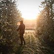 Arborist Damien Garrigues inspects the blossoms and buds of his apple trees covered in a layer of ice after being sprayed with water to protect them from frost, in his orchard in Montauban, southern France, April 4 2022. - The water spray method encases flowers and buds in a protective layer of ice, protecting them from wind and cold.  (Photo by Valentine CHAPUIS / AFP)