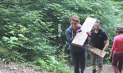 Das Holz von zerstörten Brücken und Treppen musste aus dem Wald entfernt werden. / Foto: Guy SEYLER