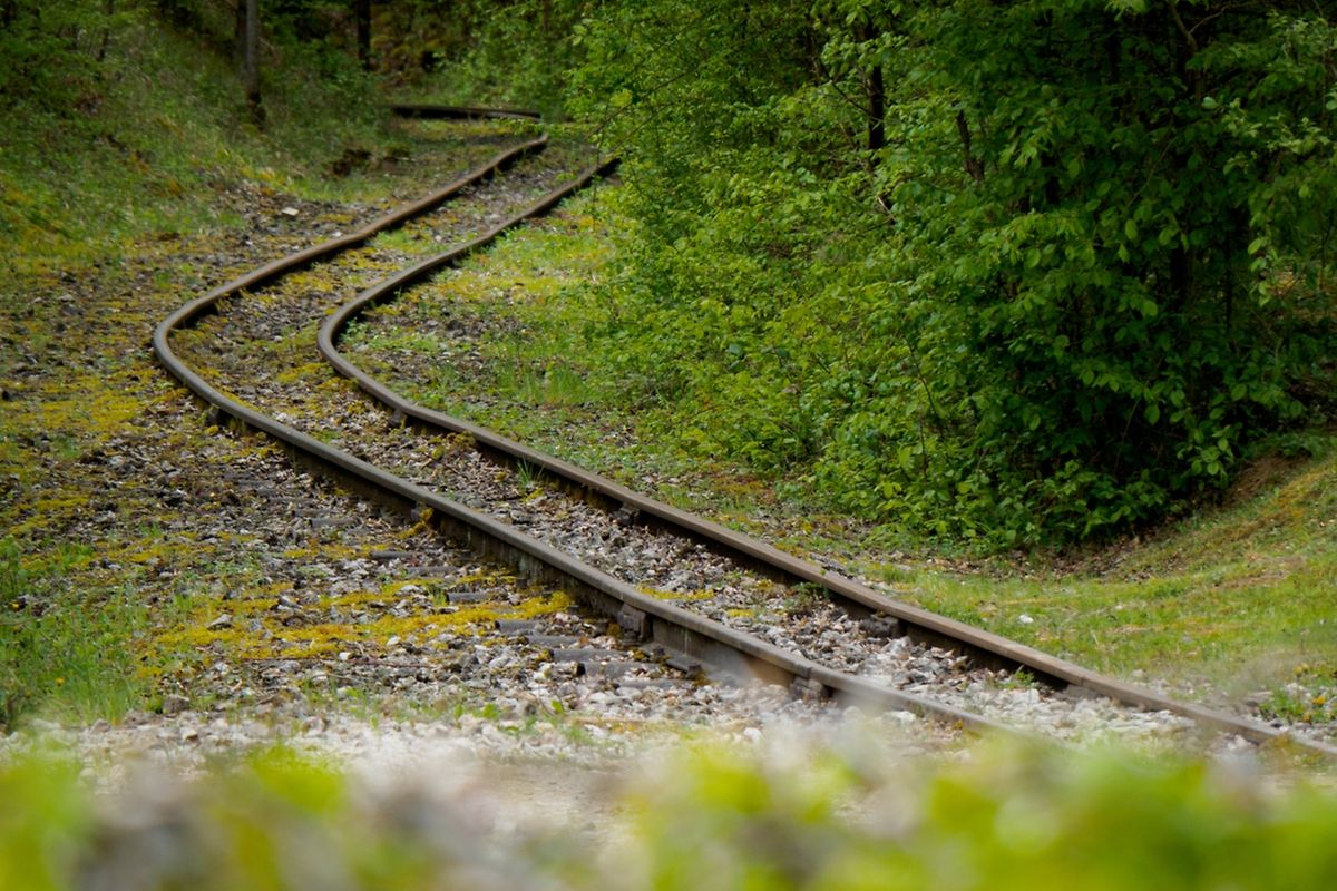 Zahlreiche Besucher hatten am Montag den Weg in den "Minettpark" gefunden.