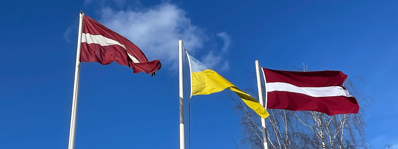Ukrainische Flaggen an jeder Straßenecke. Wer durch die Straßen Rigas spaziert, kann die symbolische Geste der Unterstützung Lettlands für die Ukraine nicht übersehen. 