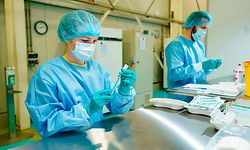 15.04.2021, Rheinland-Pfalz, Ludwigshafen: Zwei Mitarbeiter sind im BASF-Impfzentrum mit der Aufbereitung des Corona-Impfstoffs beschäftigt. Foto: Uwe Anspach/dpa +++ dpa-Bildfunk +++