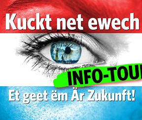 Woman face painted with flag of Luxembourg