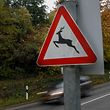 24.10.Dudelange / Warnschild Wildwechsel Foto:Guy Jallay