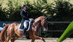 Nicolas Wagner auf seinem Pferd Quater Back Junior.