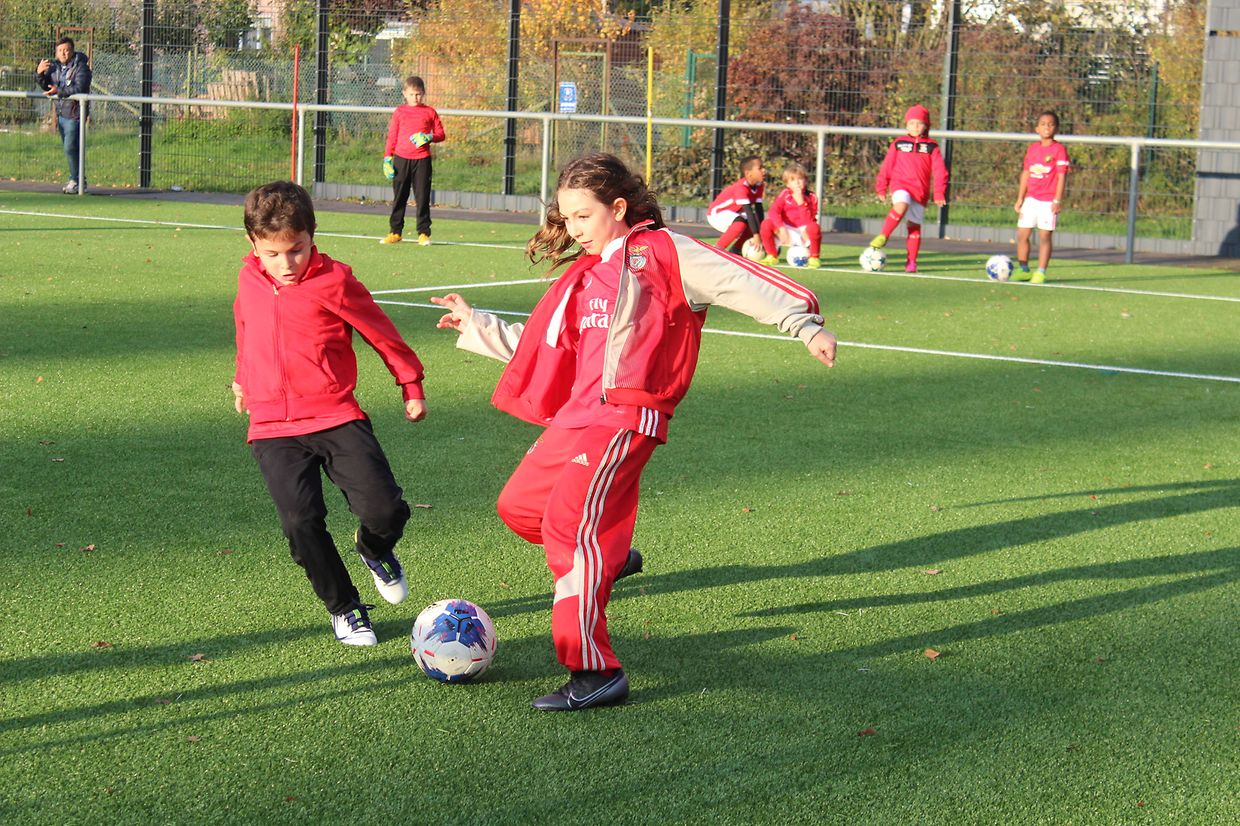 A qualidade e exigência nos treinos são princípios fundamentais ministrados por todos os treinadores durante as sessões de treino.