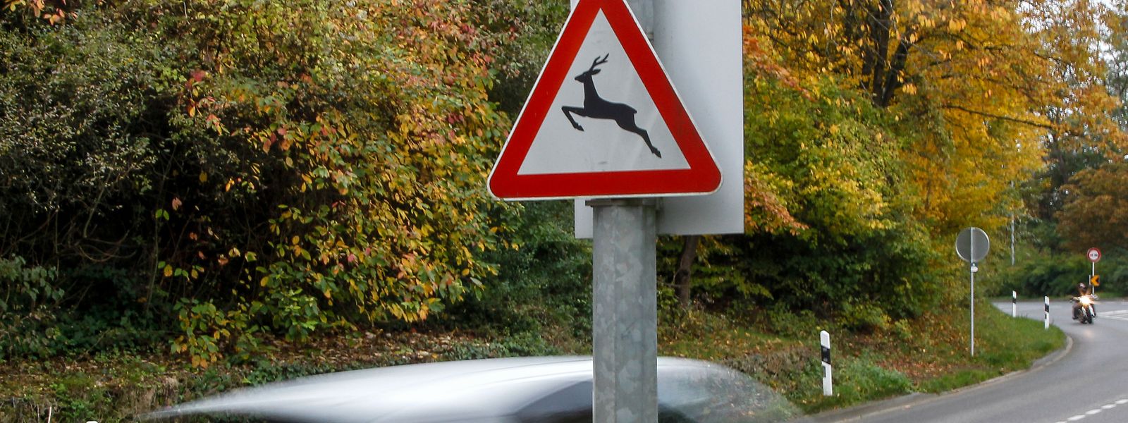 Wer das Gefahrenschild am Fahrbahnrand sieht, sollte seine Fahrweise anpassen. Denn die Schilder werden bevorzugt an Orten angebracht, an denen es bereits zu Wildunfällen gekommen ist.
