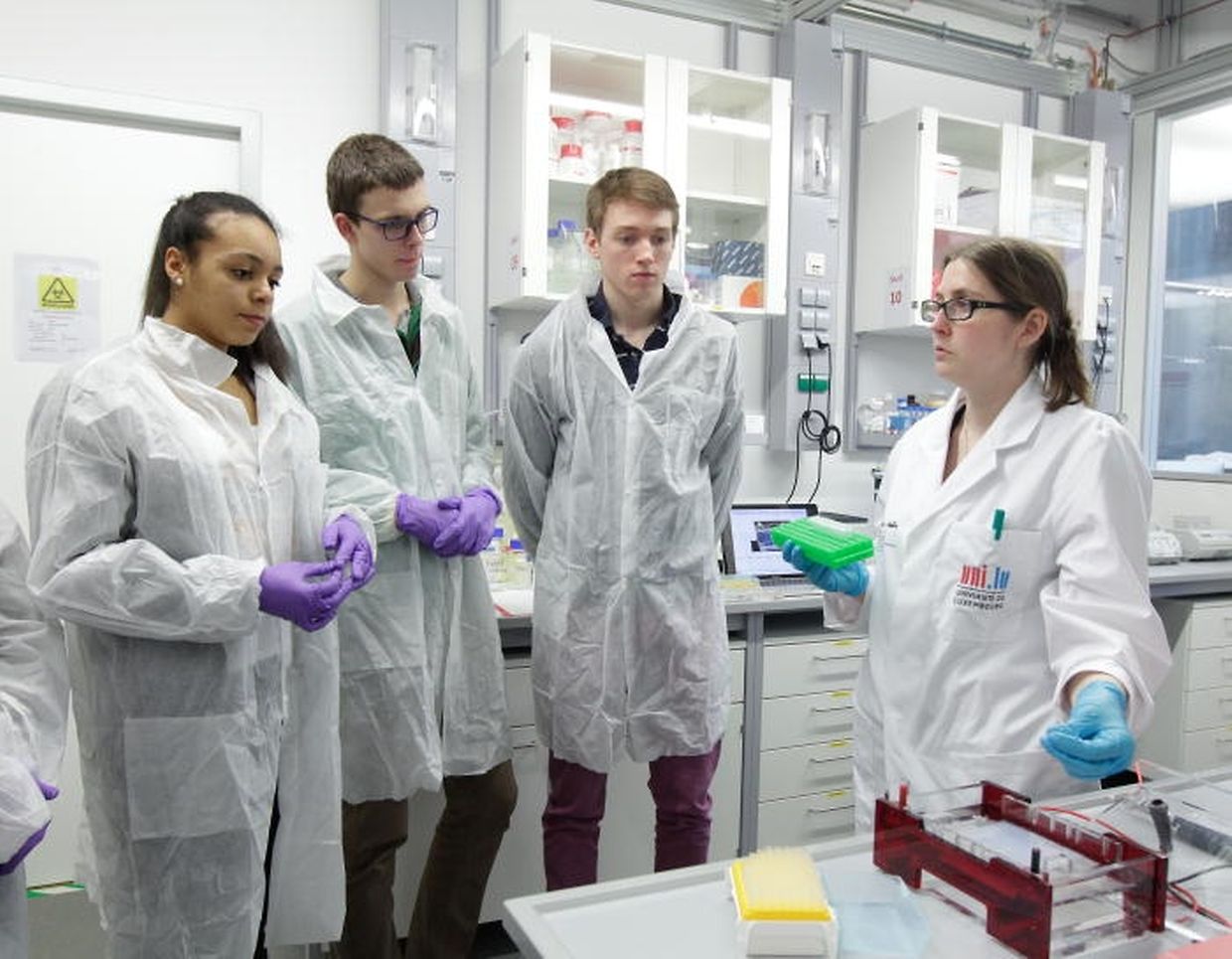 ... wo Gymnasiasten in einem praktischen Versuch dabei waren DNA-Moleküle ....