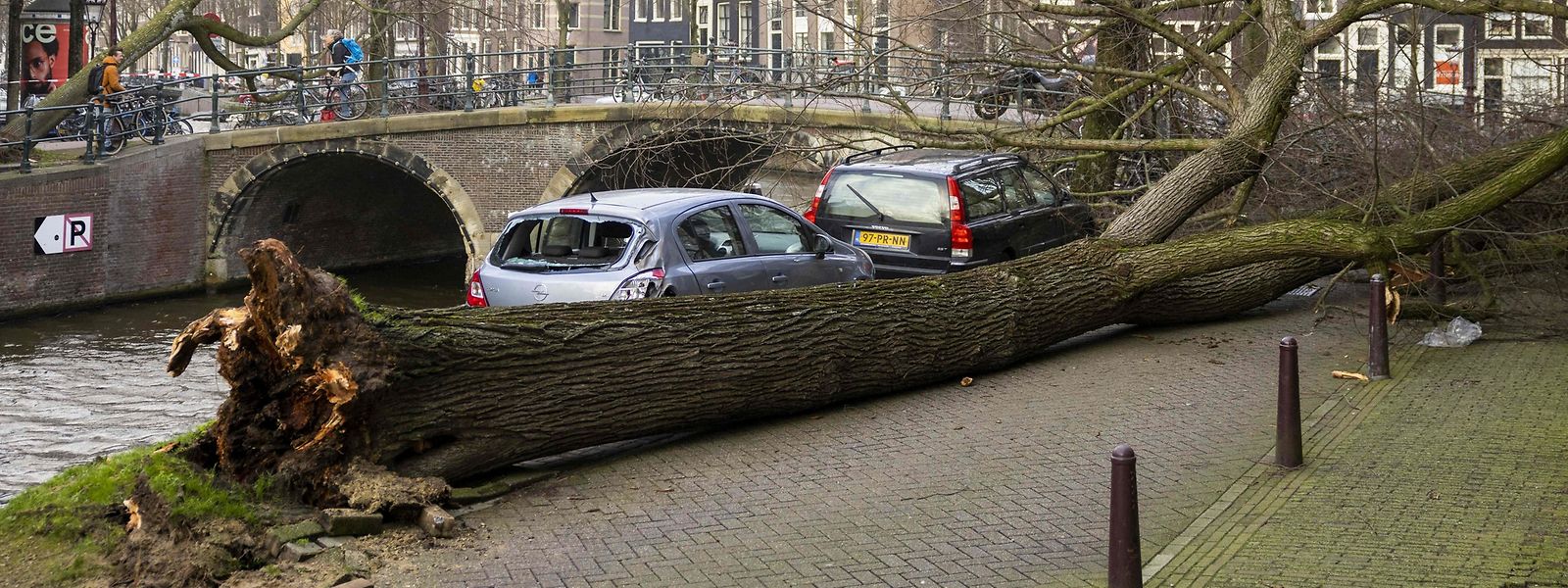 Ein umgestürzter Baum in Amsterdam. 