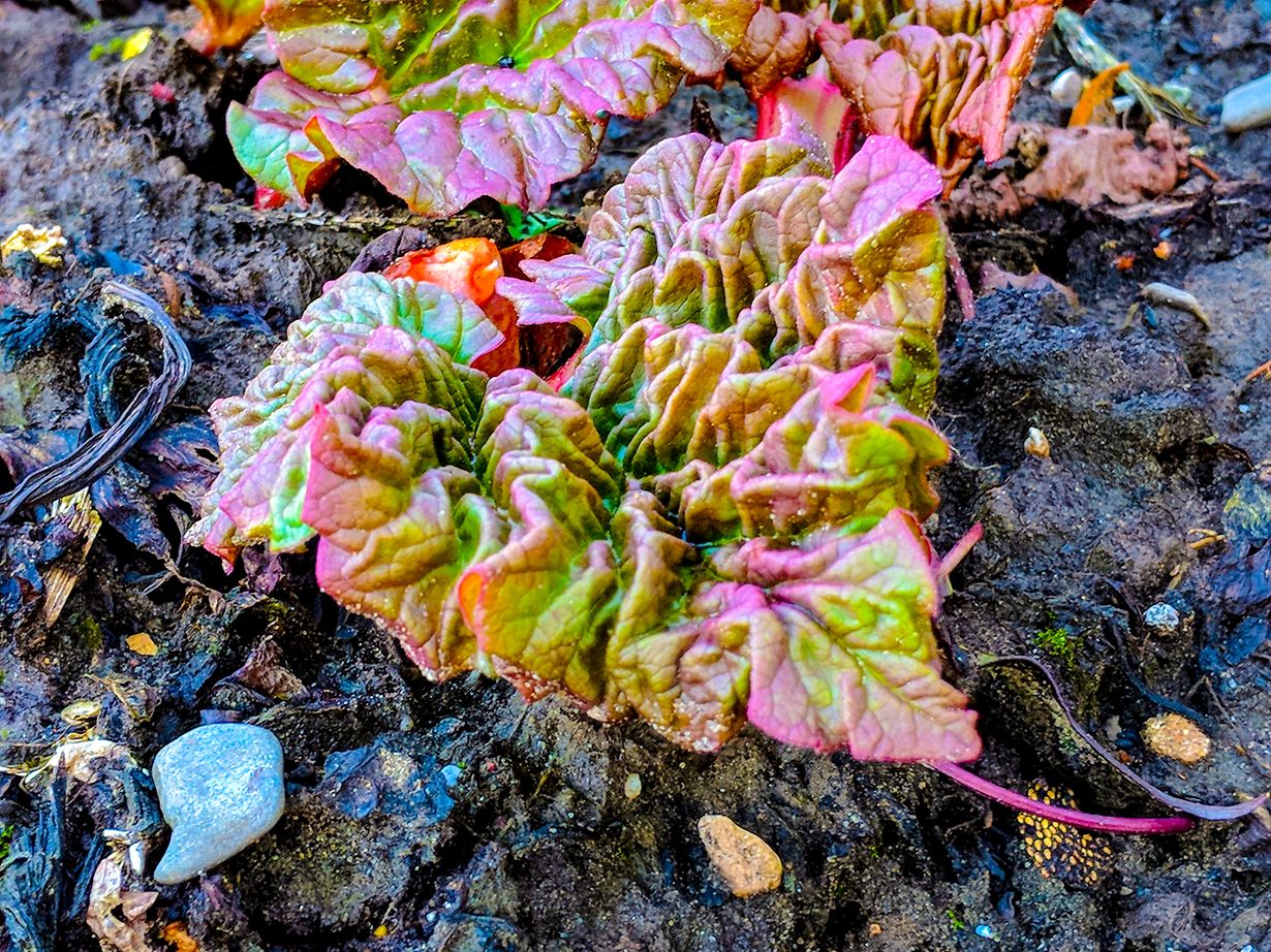 Maker:S,Date:2017-9-26,Ver:6,Lens:Kan03,Act:Lar02,E-Y