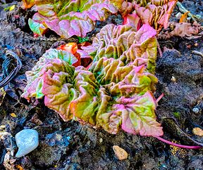 Maker:S,Date:2017-9-26,Ver:6,Lens:Kan03,Act:Lar02,E-Y