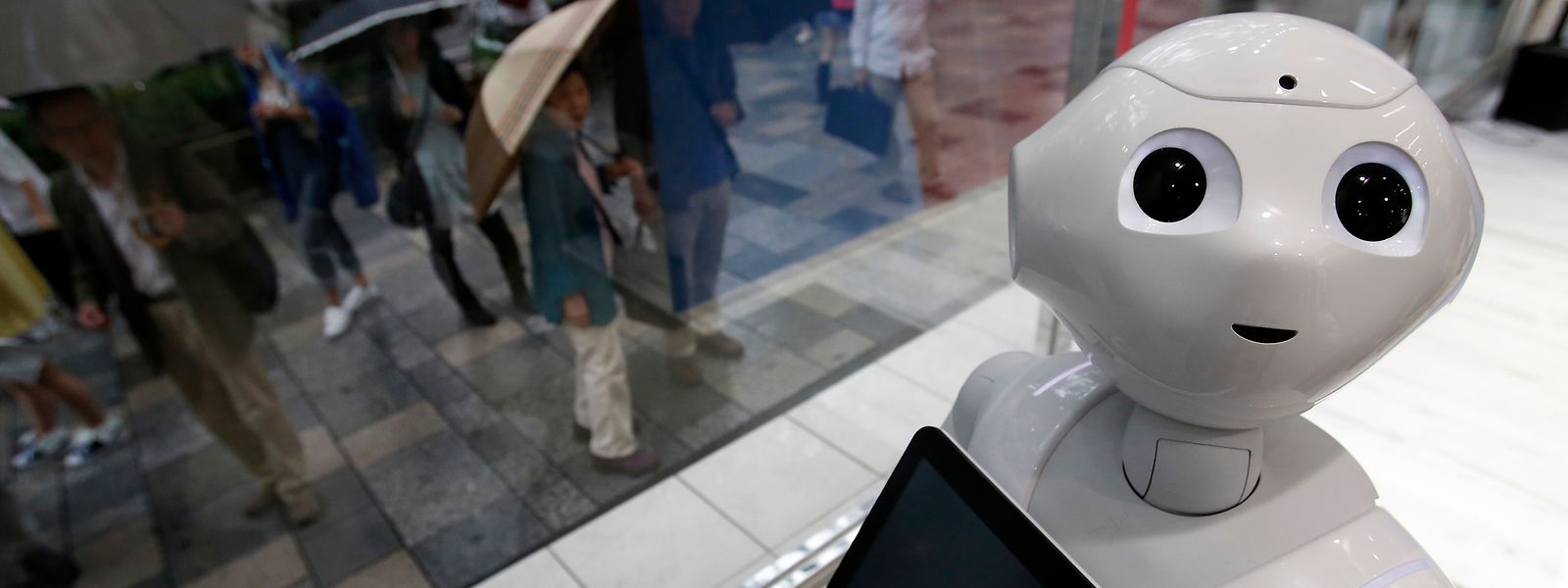 Pour développer notamment les futurs objets connectés et les machines dotées d'intelligence artificielle, les data scientists seront très recherchés sur le marché du travail.