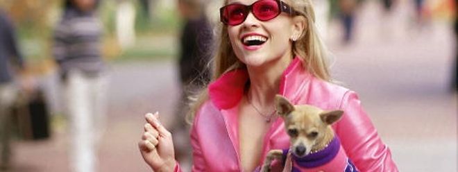 In dem Film "Natürlich blond" spielt Reese Witherspoon eine Jura-Studentin, die sich mehr für Mode als Gesetze interessiert.